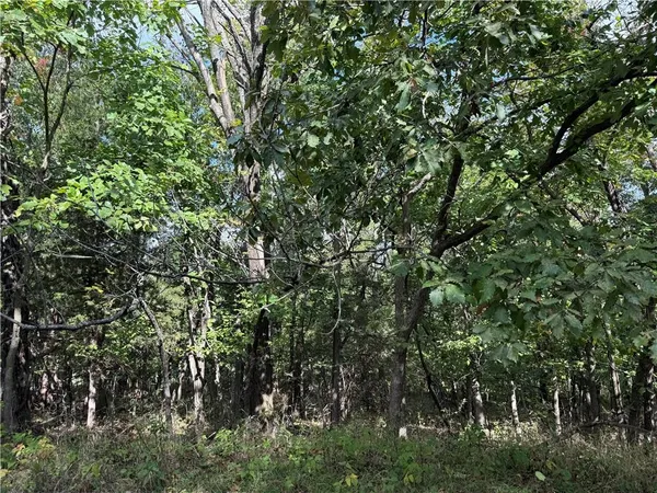 $32,000 | 85 Windbrook Drive, Lacygne, KS 66040