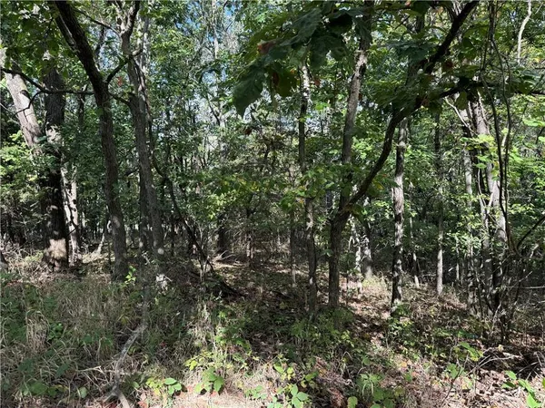 $32,000 | 85 Windbrook Drive, Lacygne, KS 66040