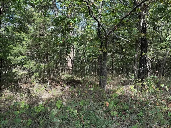 $32,000 | 85 Windbrook Drive, Lacygne, KS 66040