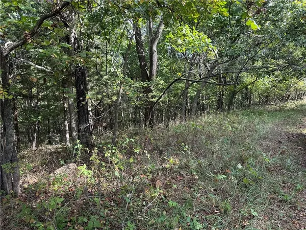 $32,000 | 85 Windbrook Drive, Lacygne, KS 66040
