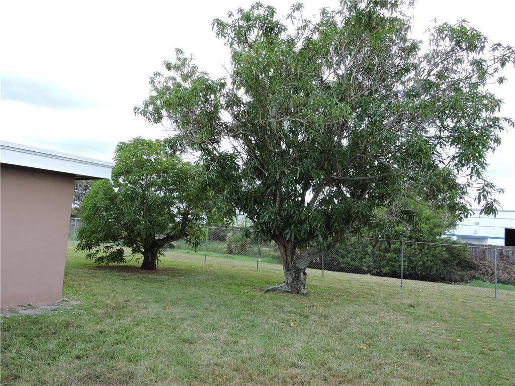 3384 Northwest 17th Street Lauderhill, FL 33311 - Photo 24 of 24 a tree in the middle of a yard
