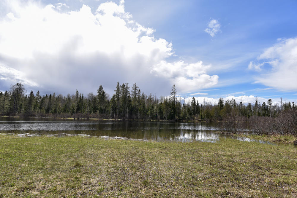 18-002 Carvell Road Mapleton, ME 04757 - Photo 9 of 20 NIK_8070