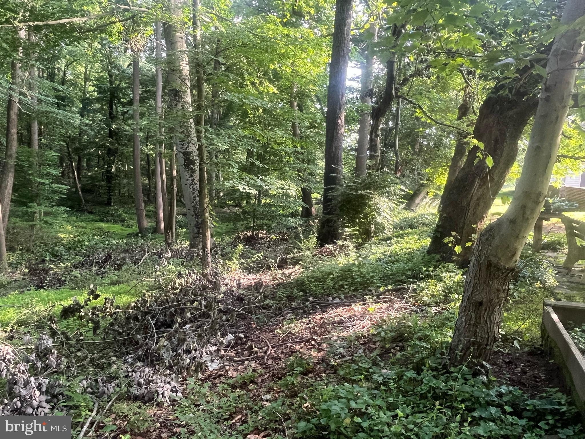 115 Chandler Mill Road Kennett Square, PA 19348 - Photo 5 of 5