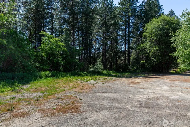 a view of a yard with a trees