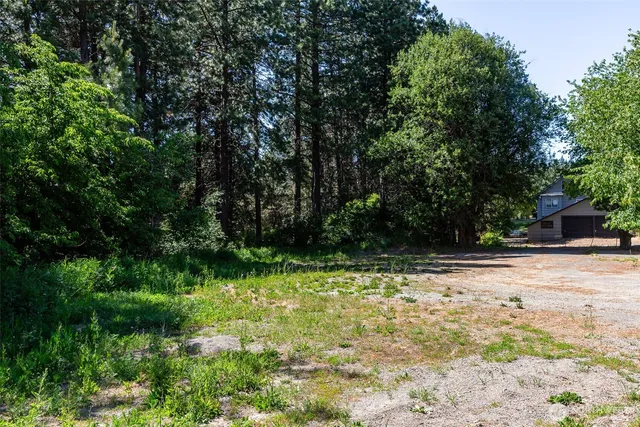 a view of a yard with plants