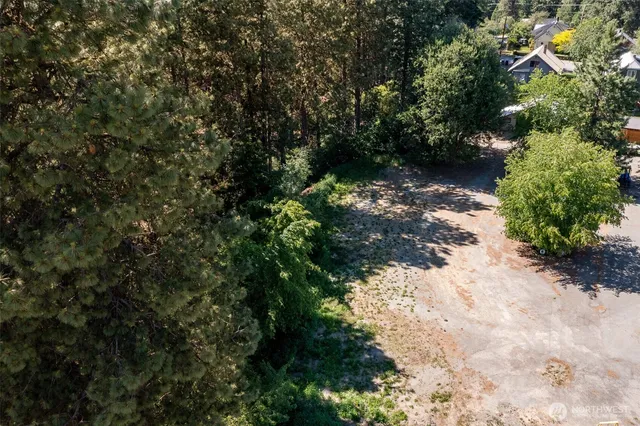 a view of a tree with a yard