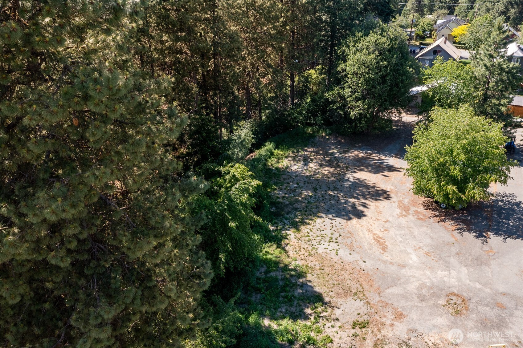 0 West Nevada Avenue Roslyn, WA 98941 - Photo 3 of 9 a view of a tree with a yard