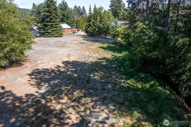 a view of a yard with plants and large trees