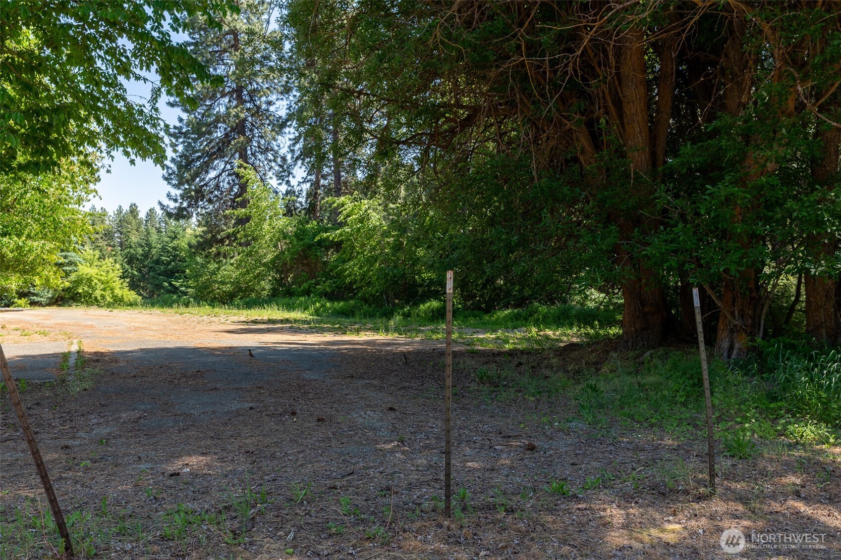 0 West Nevada Avenue Roslyn, WA 98941 - Photo 5 of 9 a view of a yard with trees in the background