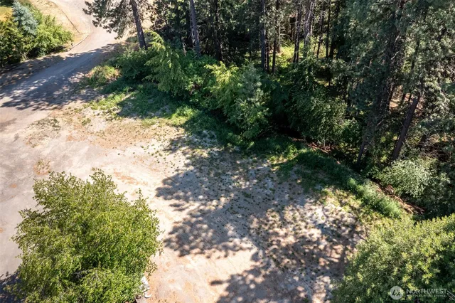 a view of a yard with a tree