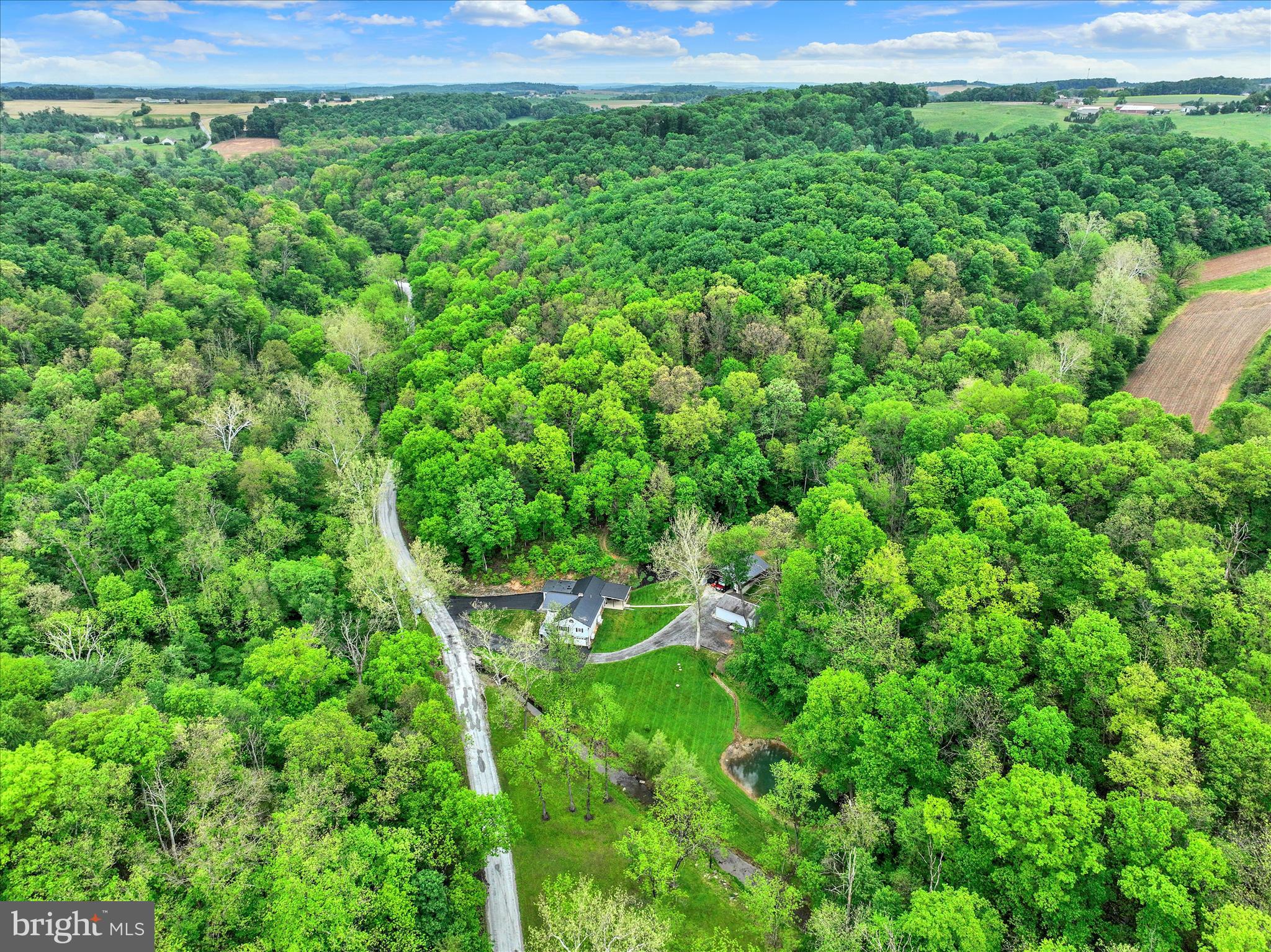 13127 Manor Furnace Road Brogue, PA 17309 - Photo 75 of 78 a view of a lush green forest with lots of trees