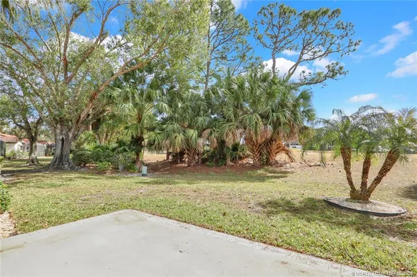 a view of a yard with a tree