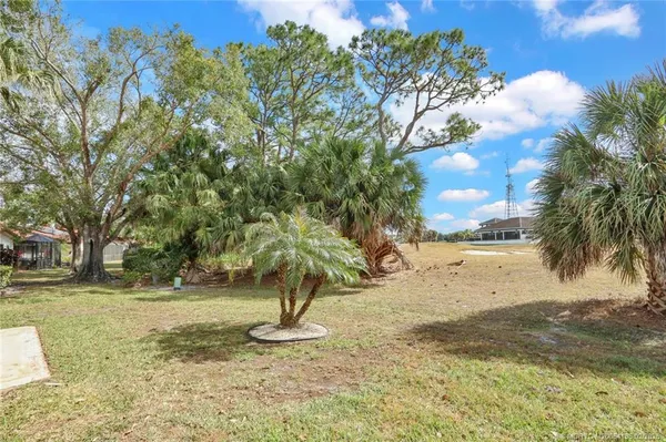 a view of a yard with trees