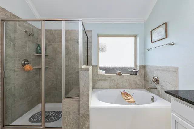 a bathroom with a tub and a shower