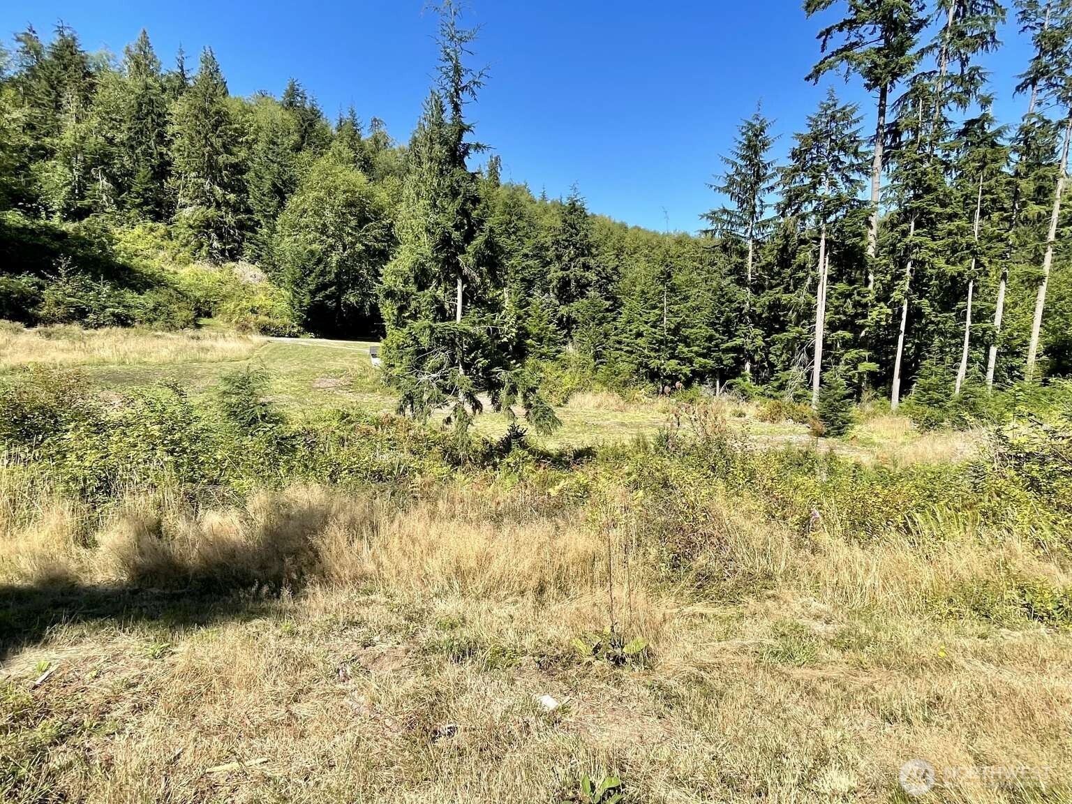 2497 Goss Ridge Road Freeland, WA 98249 - Photo 33 of 38