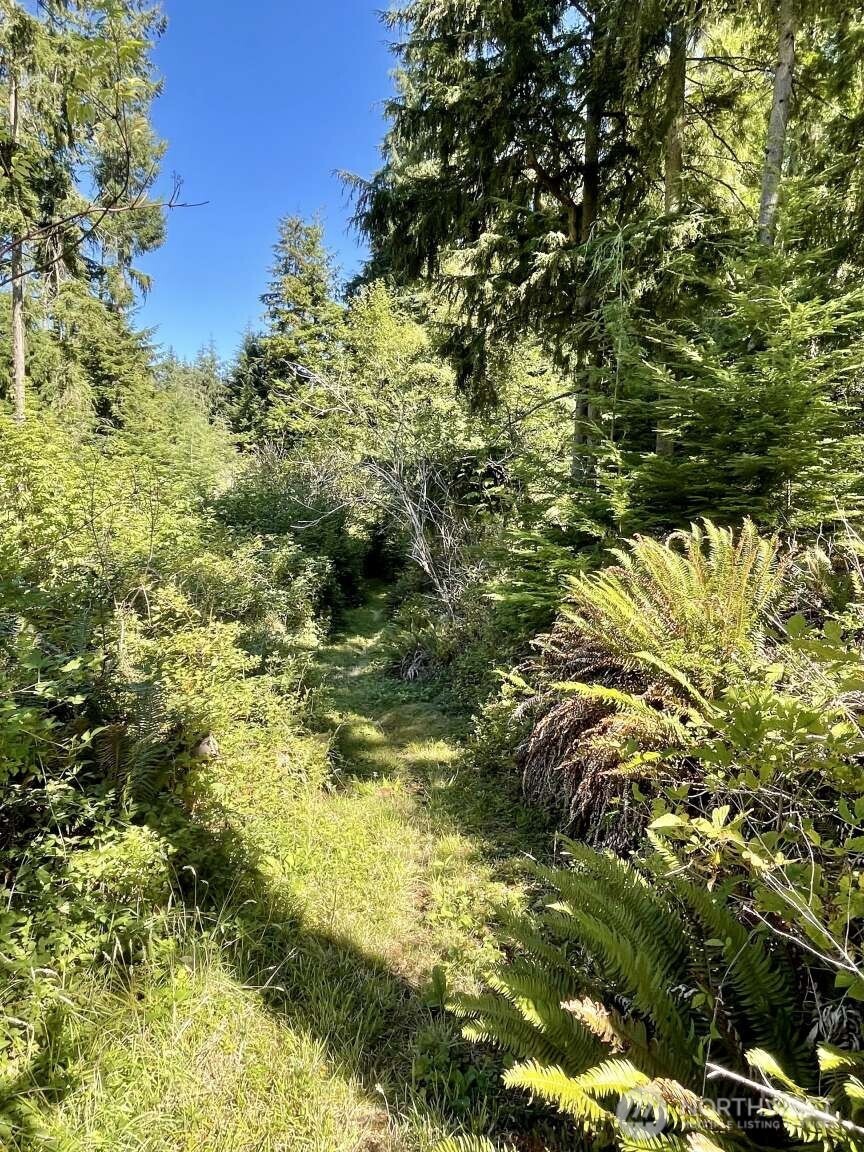 2497 Goss Ridge Road Freeland, WA 98249 - Photo 34 of 38
