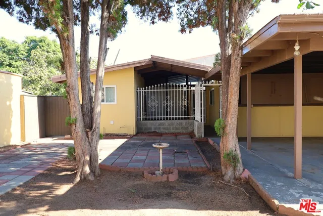 a view of backyard with large tree