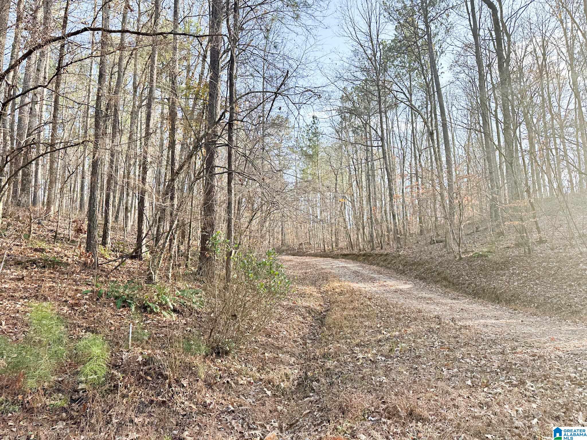 5325 Union T Road Talladega, AL 35160 - Photo 13 of 83