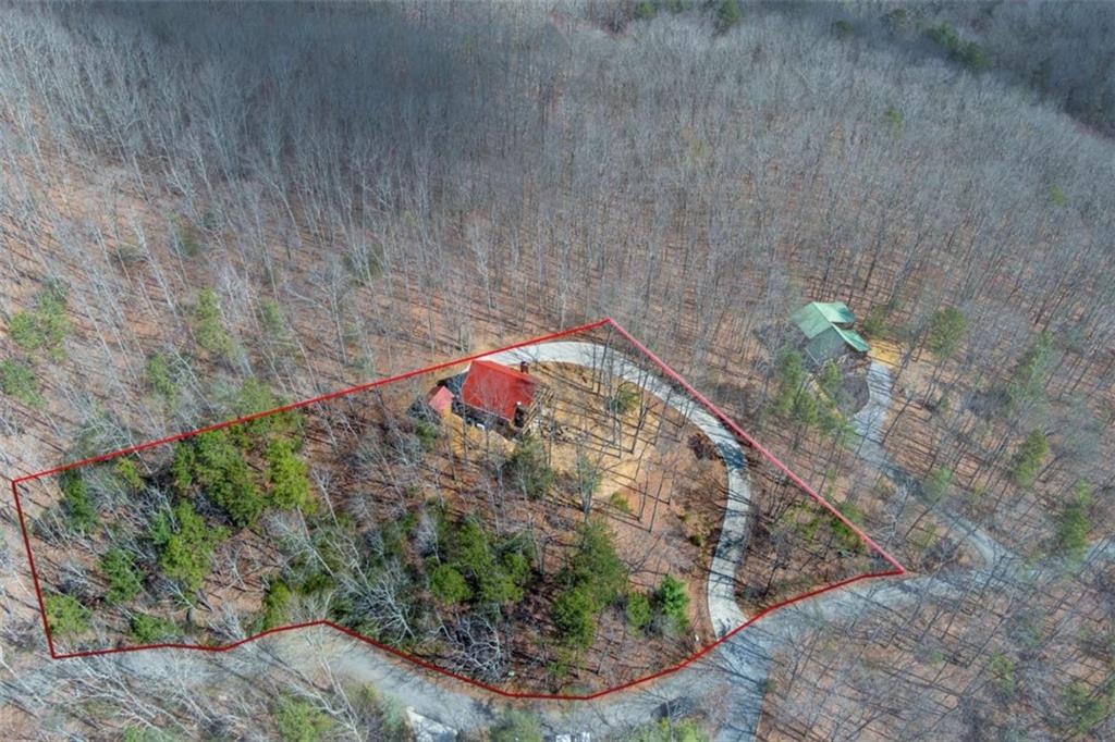 494 Lower Prince Mountain Road Cherry Log, GA 30522 - Photo 12 of 36