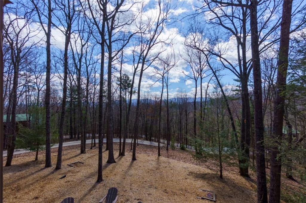 494 Lower Prince Mountain Road Cherry Log, GA 30522 - Photo 16 of 36