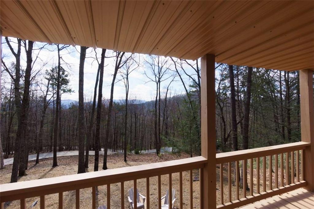 494 Lower Prince Mountain Road Cherry Log, GA 30522 - Photo 21 of 36