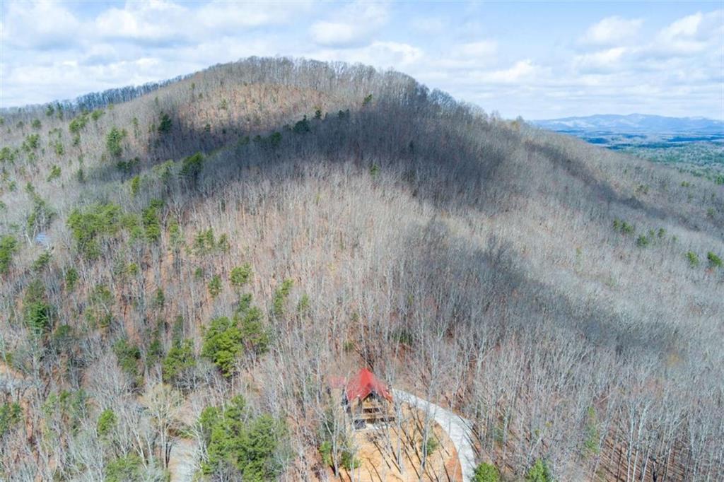 494 Lower Prince Mountain Road Cherry Log, GA 30522 - Photo 9 of 36