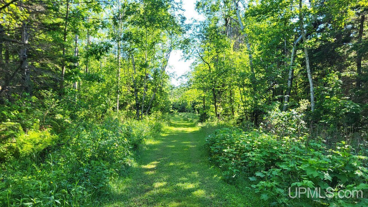 18132 2nd Sand Beach Road Lanse, MI 49946 - Photo 63 of 74 Gallery Image 63