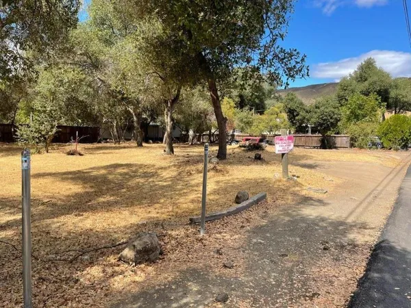 a view of a yard with a tree