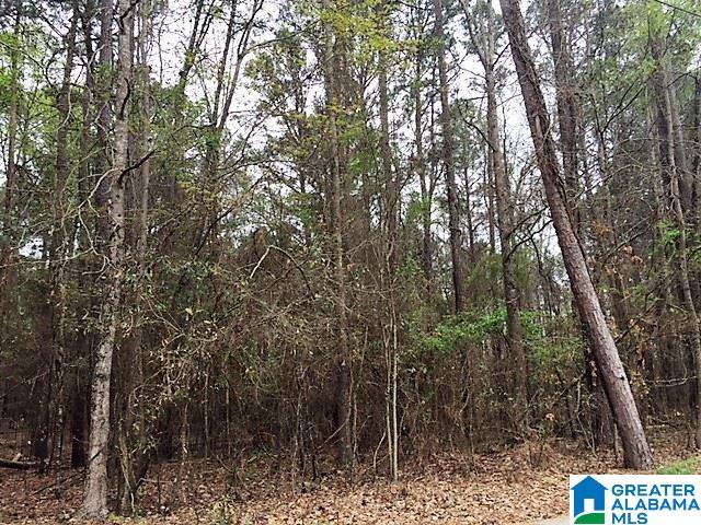 0 Patton Road, Unit 3 Tuscaloosa, AL 35404 - Photo 4 of 5