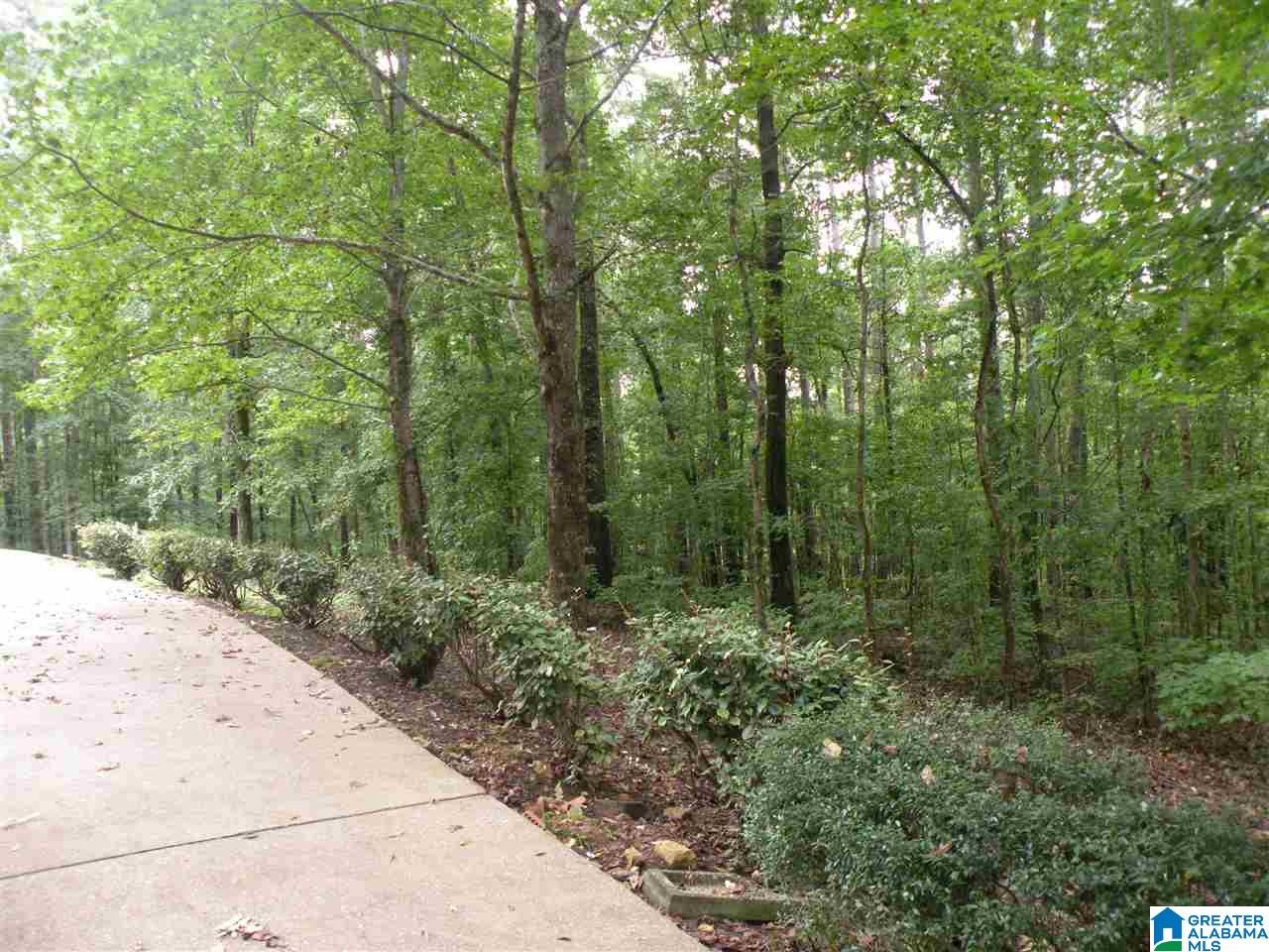1100 Pine Ridge Circle Sylacauga, AL 35150 - Photo 30 of 35