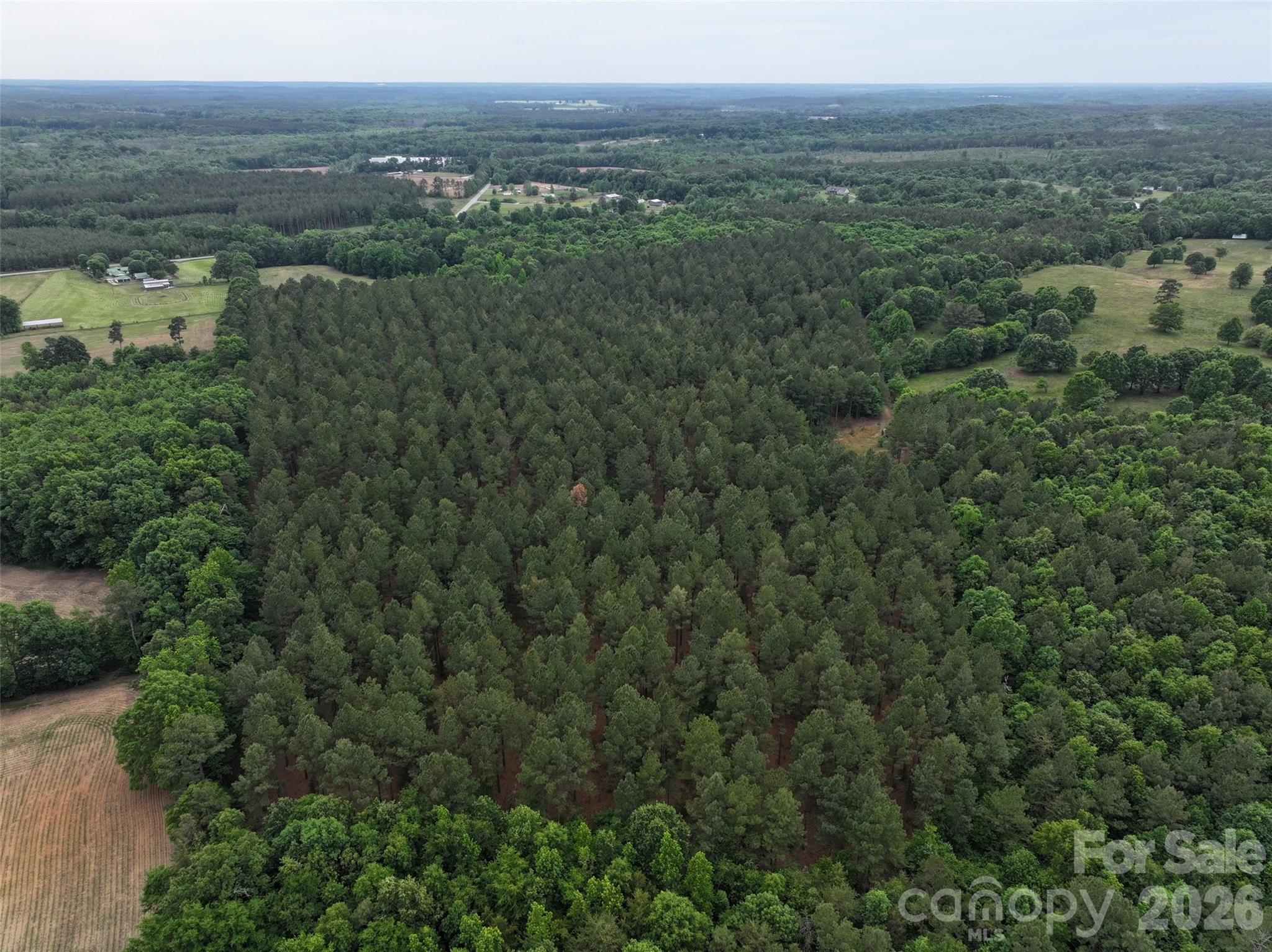 Tbd Hasty Road North Peachland, NC 28133 - Photo 3 of 7 Gallery Image 3