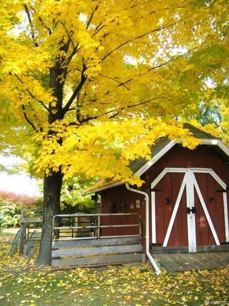 8721 Winans Lake Road Brighton, MI 48116 - Photo 21 of 29 Shed