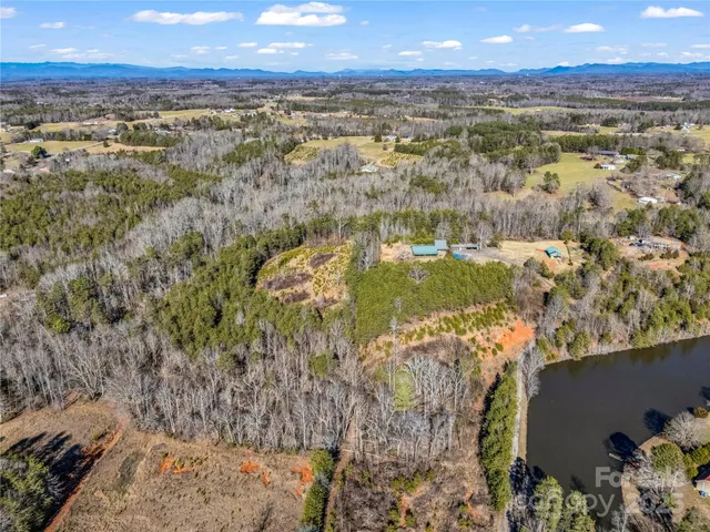 a view of a yard with trees