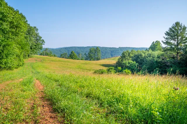 a view of a lake view with a garden
