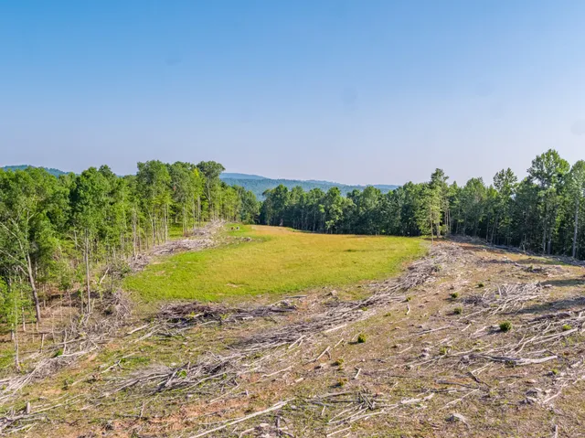 a view of yard with swimming pool and green space