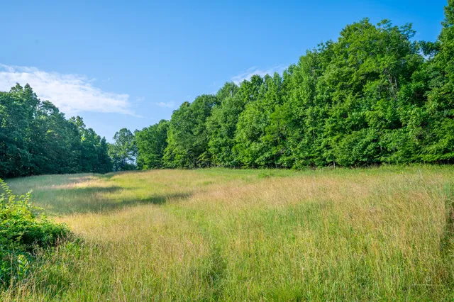 a view of a lake view with a garden