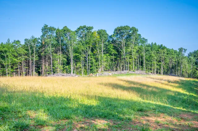 a view of an outdoor space and swimming pool