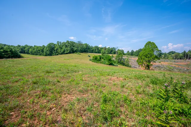 a view of a field of grass and trees