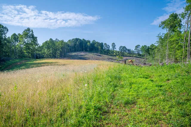 a view of a lake view