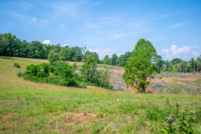 a view of a garden with a building in the background