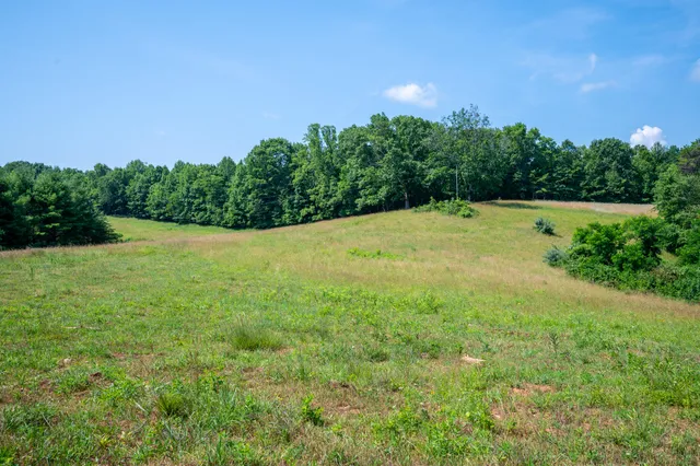 a view of a field with an trees
