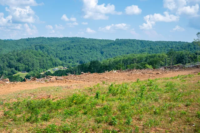 a view of a backyard