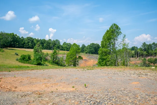 a view of a lake with a yard and a large tree