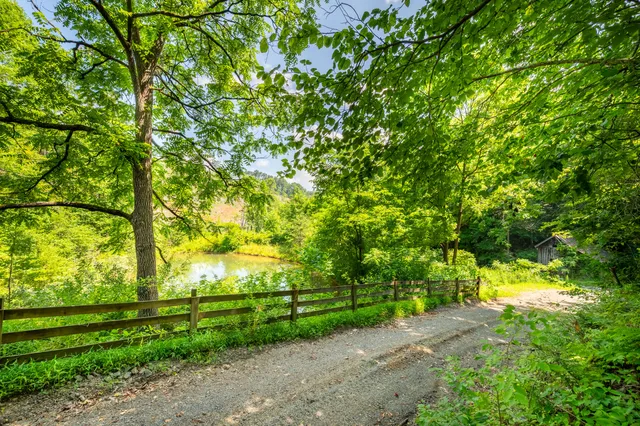 a view of a yard with a tree