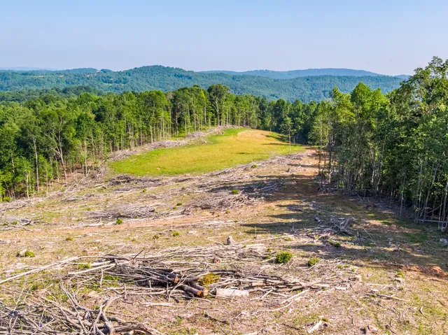 a view of lake with green space