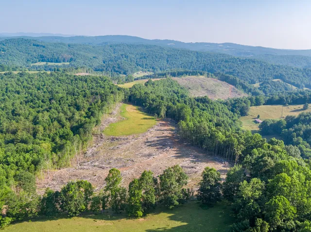 an aerial view of a residential houses with outdoor space and trees all around