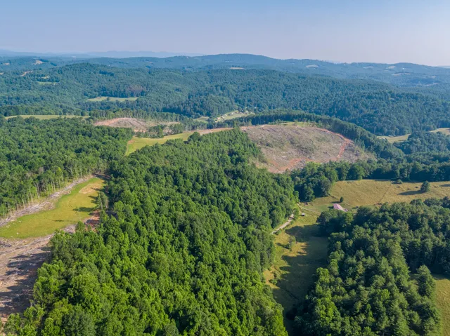 a view of a lush green hillside and houses