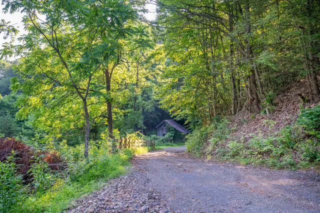 a backyard of a house with lots of green space