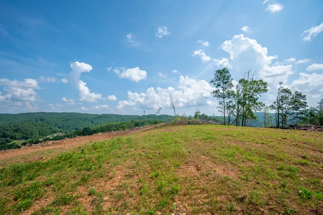a view of a big yard