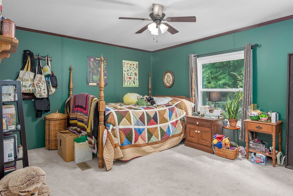 237 Bulls Horne Road Abbeville, SC 29620 - Photo 21 of 32